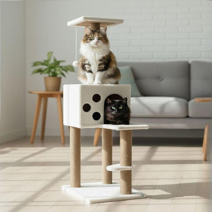 Ansamblu de catarat Orion pentru pisici, cu cub inchis