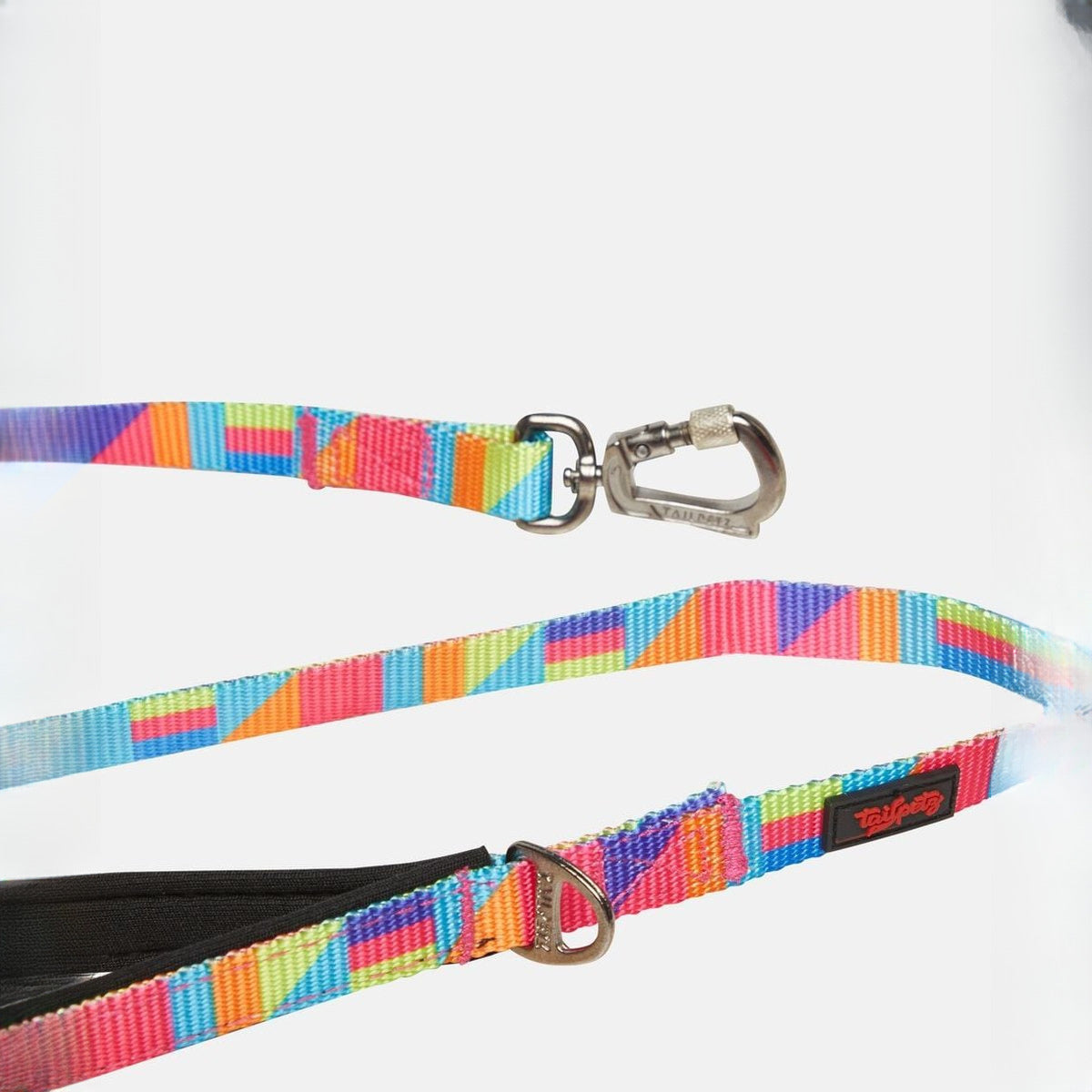 Lesa Spirit cu dungi multicolore, pentru caini